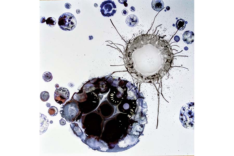 Third slide image