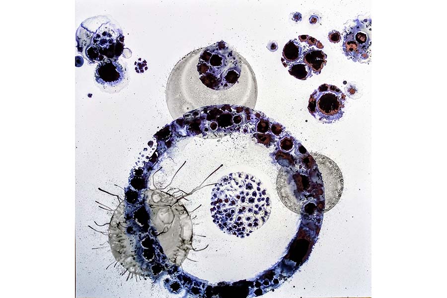Second slide image