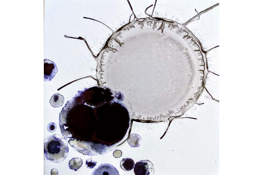 Fith slide image