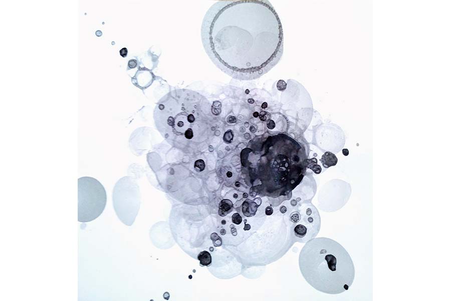 Third slide image