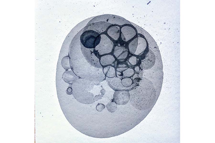 Seventh slide image