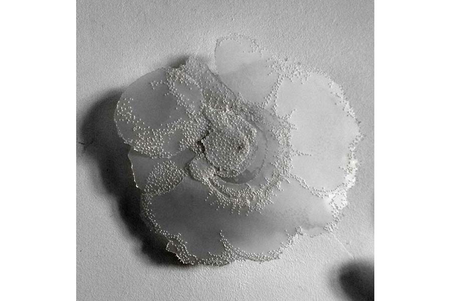 Eighth slide image
